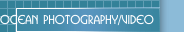 Ocean Photography/Video